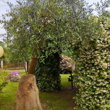 Апартаменты La Quiete